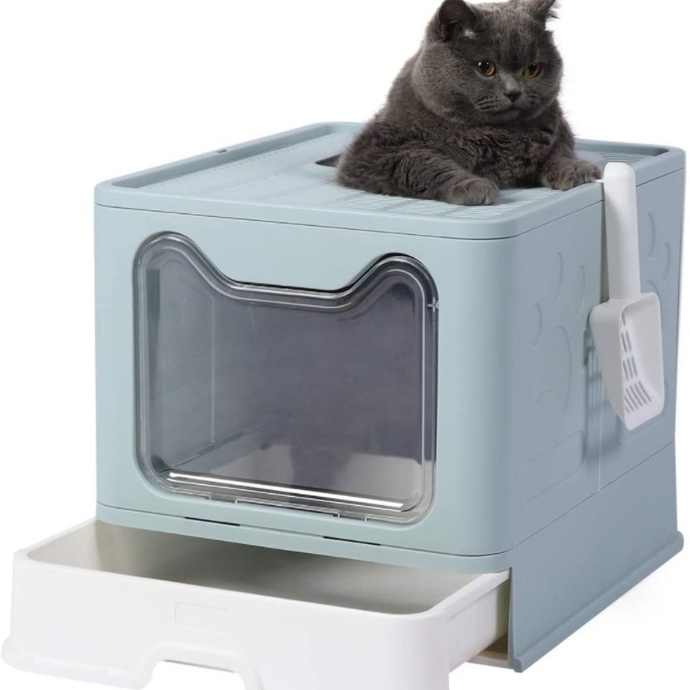 Litter box. Easy to travel. Less tracking.